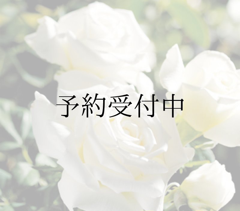 画像1: ヨハネパウロ２世【食用薔薇苗】大輪・白薔薇・ティー香　食べられるバラ　食べる薔薇　送料無料　農林水産省登録品種 PVP【発送地 山形】 (1)