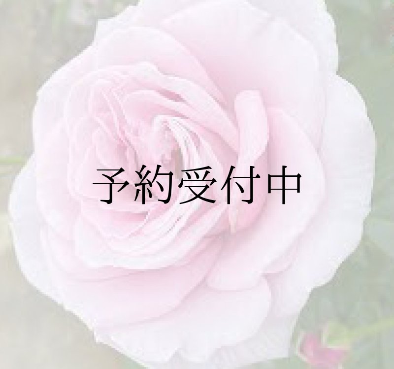 画像1: パフュームドレス（バラ）食用薔薇の苗「食べられる薔薇」送料無料　品種登録出願済み【発送地 山形】 (1)