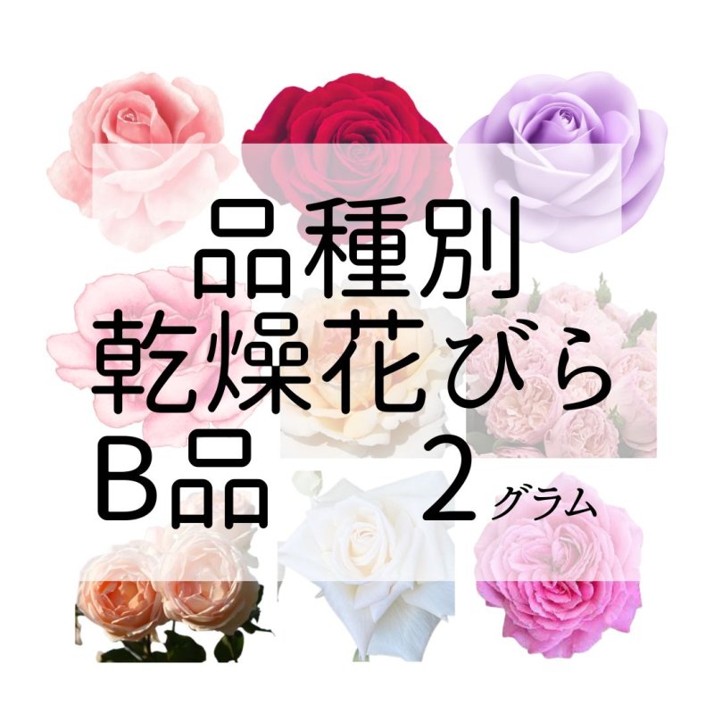 画像1: 食用バラ乾燥花びら（B品) 2g　品種別【出荷地：千葉】 (1)
