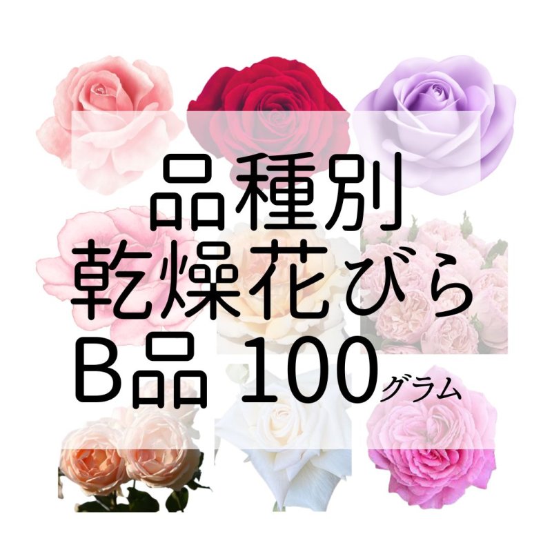 画像1: 乾燥花びら（B品) 100g　食用バラ品種別【出荷地：千葉】 (1)