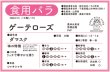 画像2: ゲーテローズ【食用バラの苗】食べるバラ　大輪・花びら50〜70枚・ダマスク香　送料無料　生育次第お届け　農林水産省登録品種 PVP【発送地 山形】 (2)