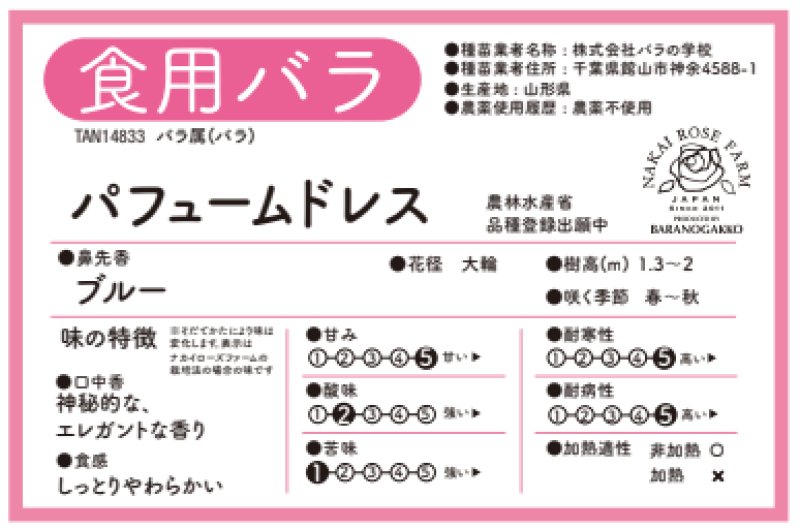 画像3: 食用バラ苗「パフュームドレス」農薬不使用・シルキーラベンダーと強香ブルー系の中大輪品種★ (3)