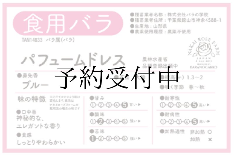 画像3: 食用バラ苗「パフュームドレス」農薬不使用・シルキーラベンダーと強香ブルー系の中大輪品種★ (3)
