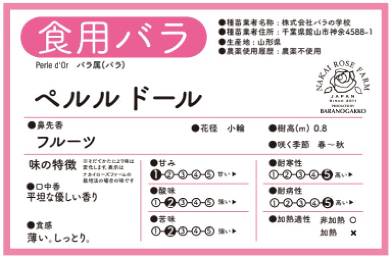画像2: 食用バラ苗「ペルル ドール」｜サーモンレッド〜淡オレンジ・とげなし四季咲き【農薬不使用】★ (2)