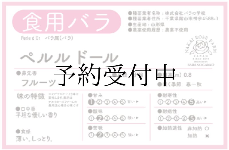 画像2: 食用バラ苗「ペルル ドール」|サーモンレッド〜淡オレンジ・とげなし四季咲き【農薬不使用】★ (2)