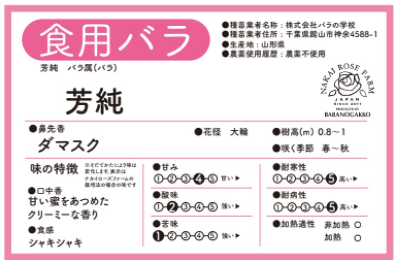 画像2: 食用バラ苗「芳純」農薬不使用・マットピンクとダマスク香の中大輪品種★ (2)