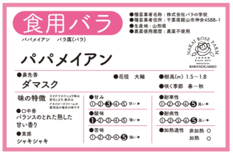 画像2: 食用バラ苗「パパ・メイアン」農薬不使用・濃ダークレッドの大輪ダマスク香★ (2)