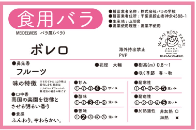 画像2: 食用バラ苗「ボレロ」農薬不使用で育てる大輪純白のバラ　強フルーツ香★ (2)