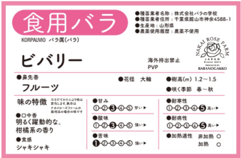 画像2: 食用バラ苗「ビバリー」農薬不使用・濃ピンク＆甘酸っぱいフルーツ香の大輪品種★ (2)