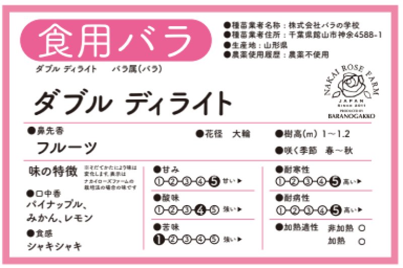画像4: 食用バラ苗「ダブルデライト」農薬不使用・クリーム×赤グラデーションと深ダマスク香の大輪バラ★ (4)
