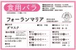 画像2: フォーランマリア【食用バラ苗】食べる薔薇　大輪・花びら80〜100枚・フルーツ香　送料無料【発送地 山形】 (2)