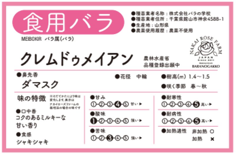 画像2: 食用バラ苗「クレム ドゥ メイアン」｜超大輪甘いダマスク香の農薬不使用【送料無料・四季咲き】★ (2)