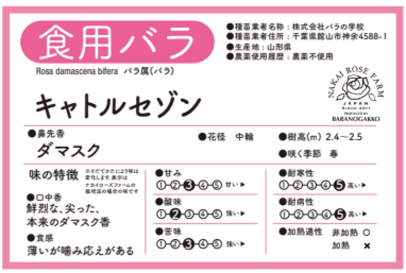 画像2: 食用バラ苗「キャトルセゾン」｜ローズオイル用・ピンク・四季咲き・強香【農薬不使用】★ (2)