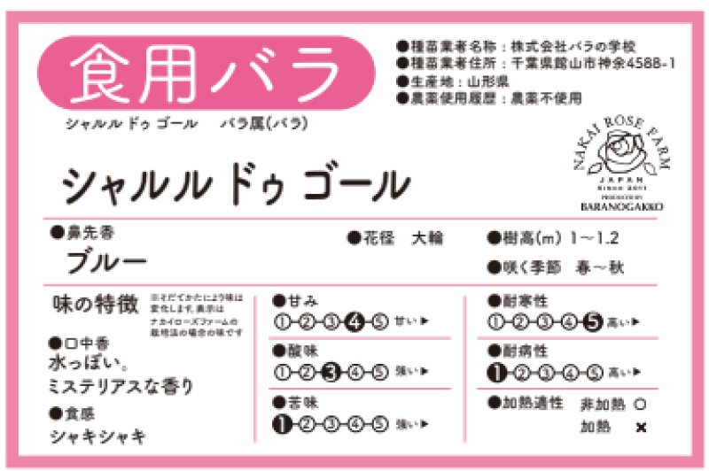 画像2: 食用バラ苗「シャルル ドゥ ゴール」農薬不使用・ライラック紫とブルー香の大輪薔薇★ (2)