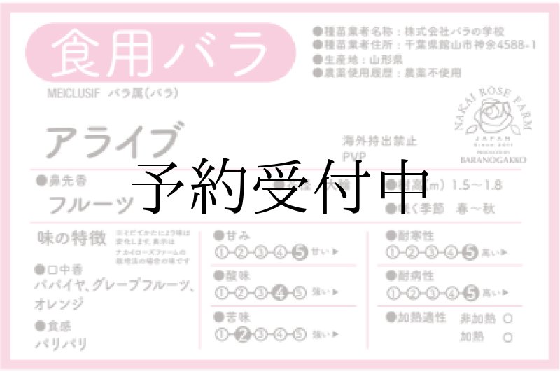 画像3: アライブ【苗】食べれる薔薇　超大輪・濃ピンク色・ダマスクローズ　送料無料　農林水産省登録品種 PVP【発送地 山形】 (3)