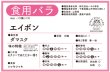 画像2: 食用バラ苗「エイボン」｜赤色・強香ダマスク・四季咲き【農薬不使用／送料無料】 (2)