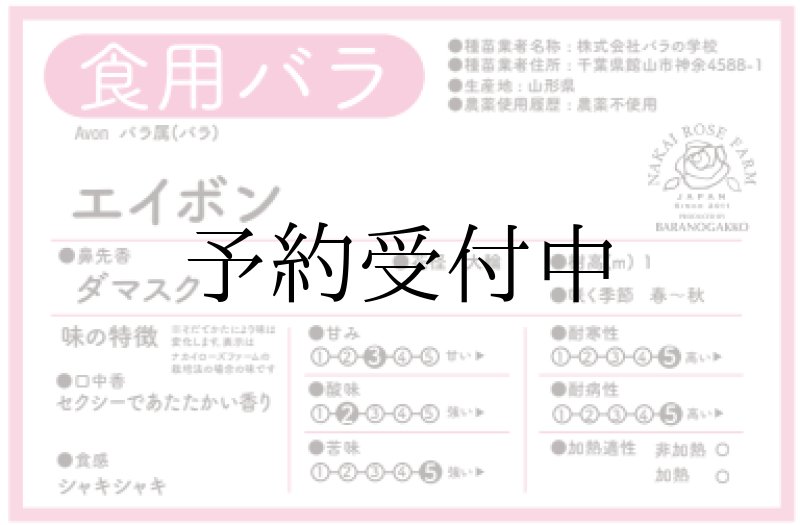 画像2: 食用バラ苗「エイボン」｜赤色・強香ダマスク・四季咲き【農薬不使用／送料無料】★ (2)