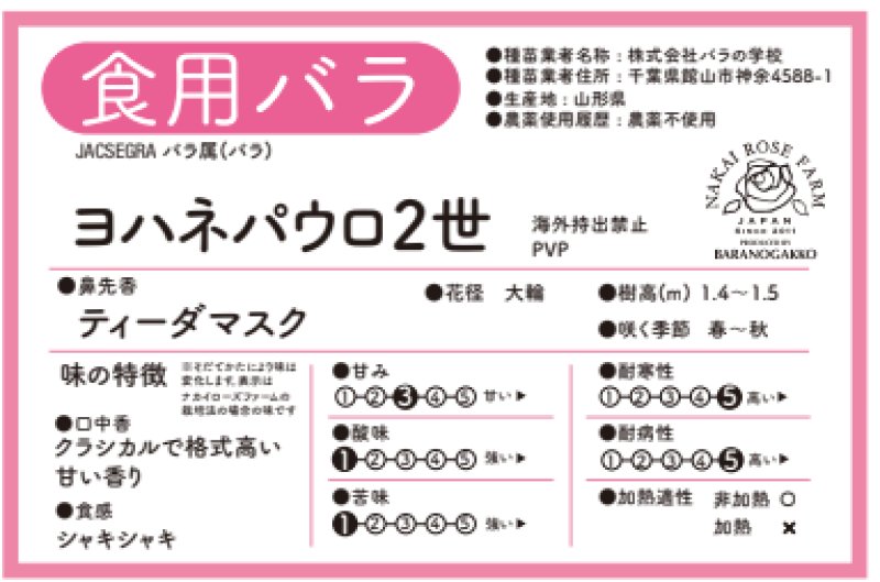 画像2: 食用バラ苗「ヨハネパウロ２世」? 農薬不使用・純白大輪で香り豊かな四季咲きの白薔薇 (2)