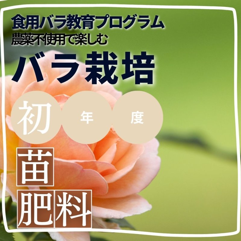画像1: 《趣味》【農薬不使用で楽しむバラ栽培】初年度｜食用バラ教育プログラム【発送地 山形】エディブルローズ農家育成ナンバー１企業ナカイローズファーム (1)