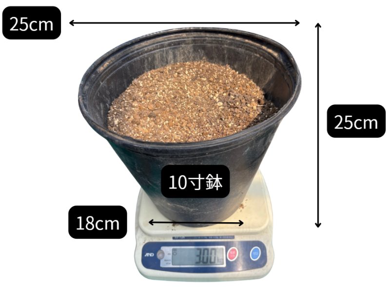 画像4: 食用バラの土8.5リットル（１株×１年分）（花びら収穫用）★ (4)
