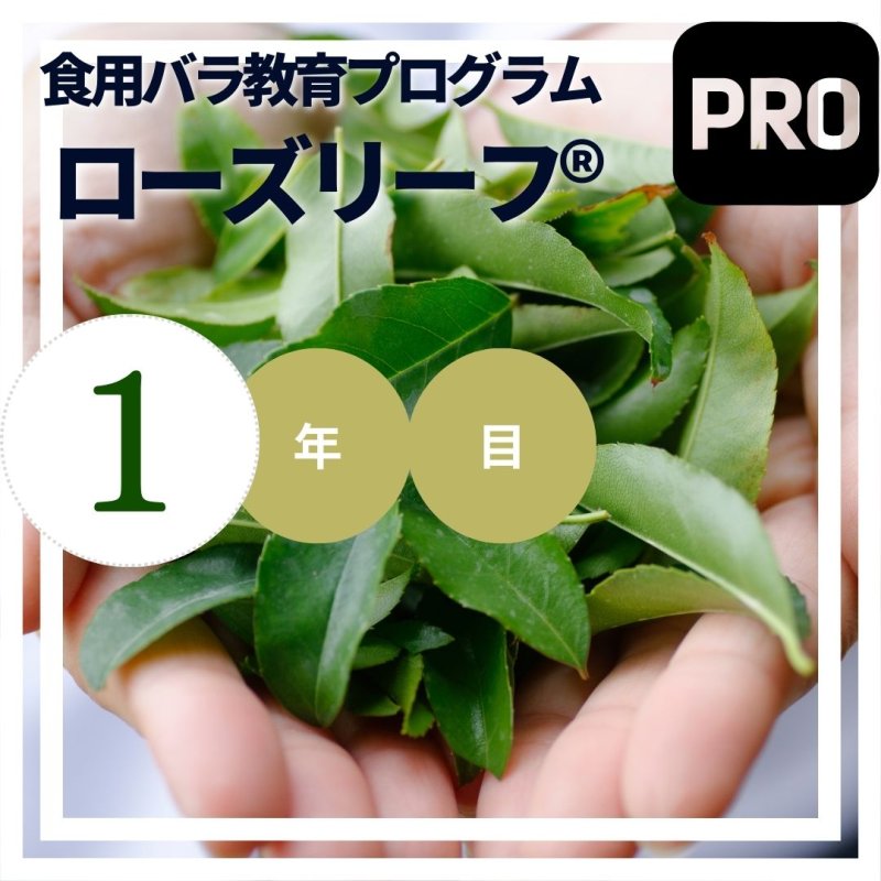 画像1: 苗10本【ビジネスコース】ローズリーフ（R）食用バラ教育プログラム【発送地 山形】【エディブルローズ農家育成No.1】 (1)