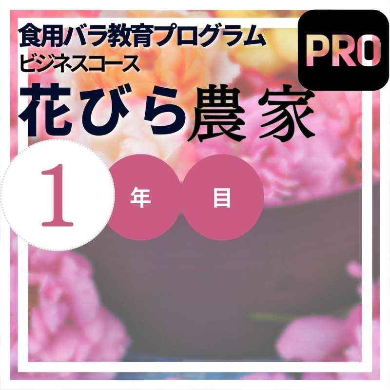 画像1: 苗10本【農家コース】食用バラ教育プログラム【発送地 山形】エディブルローズ農家育成ナンバー１企業ナカイローズファーム (1)
