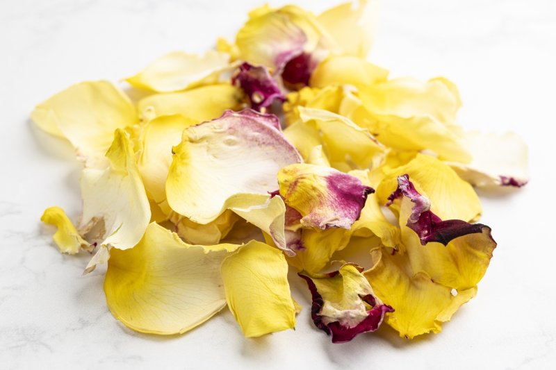 ダブルデライト