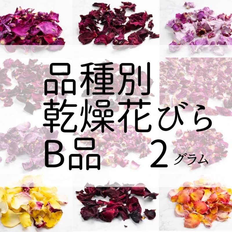画像1: 食用バラ乾燥花びら（B品) 2g　品種別【出荷地：千葉】 (1)