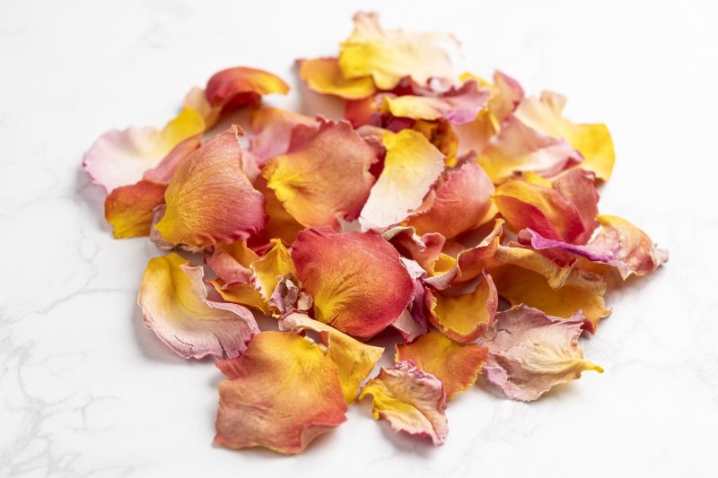 プリンセスシャルレーヌモナコ