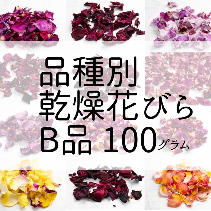 画像1: 乾燥花びら（B品) 100g　食用バラ品種別【出荷地：千葉】 (1)