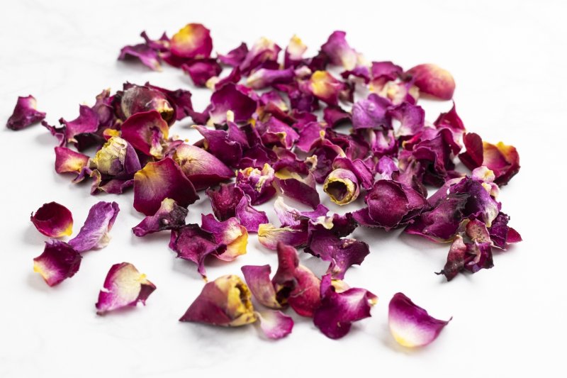 ソフィーズパーペチュアル