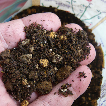 食用薔薇の土 肥料 黒点病予防 うどんこ病予防 害虫予防剤 １株 １年分